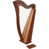 27-Strings-Harp-03-e