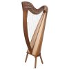 36-Strings-Harp-01